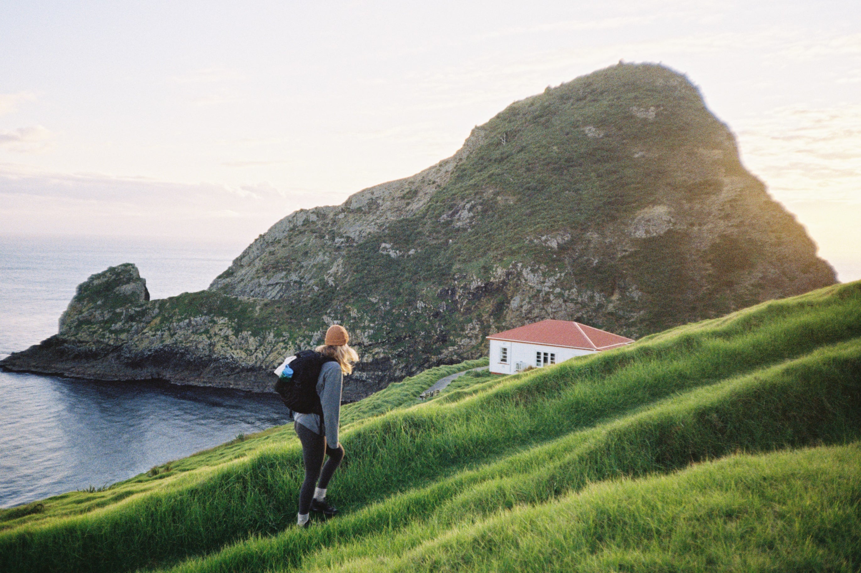 Cape Brett Journal